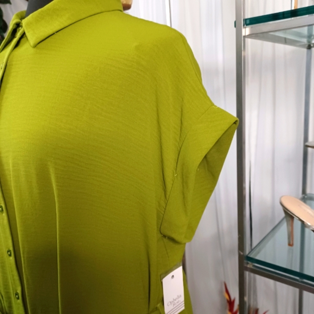 Button-Front Tie-Waist Maxi Dress in Lime Green - Picture 6 of 15